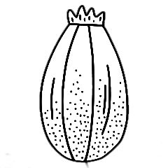 icon 6